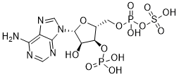 PAPS 482-67-7